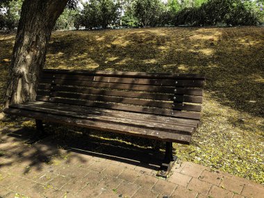 Parkta güzel tezgah. Bahar güneşli gün.