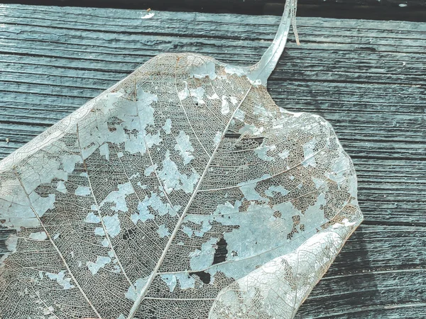 Una foglia secca su uno sfondo di legno. Colpo da vicino — Foto Stock