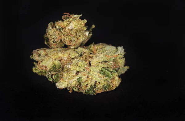 Cannabisknop op zwarte achtergrond. Macro marihuana — Stockfoto