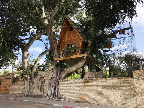 Özel bir alanda Amazing treehouses . Ağaç konseptinde yaşamak. Alternatif yaşam.