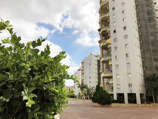 Rishon Le Zion, İsrail 07 Ekim 2019: Rishon Le Zion, İsrail 'deki konut binaları ve bitkiler