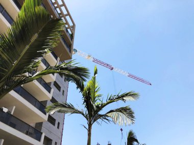 Rishon Le Zion, İsrail 07 Ekim 2019: Rishon Le Zion, İsrail 'deki konut binaları ve bitkiler