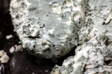 Mavi peynir, atış makro yakın çekim