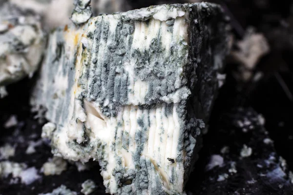 Primer plano del queso azul suave, macro shot — Foto de Stock