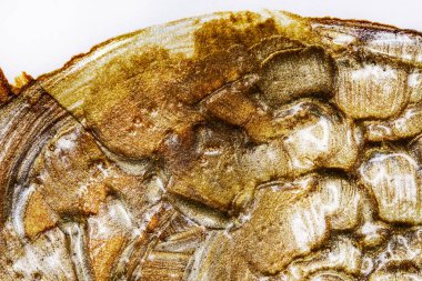 Soyut boyalı arka plan. Arkaplan beyaz kağıda boyanmış..