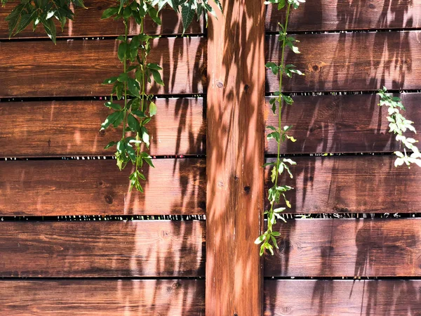 Una hermosa cerca de madera con pintura agrietada. Primer plano — Foto de Stock