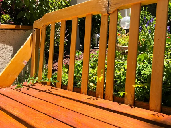 A palette of colors in the summer season of trees and a front view of a wooden bench for outdoor recreation on a beautiful spring hike on a hiking day — ストック写真