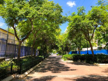 İsrail, Rishon Le Zion 'da güzel bir yaz pisti.