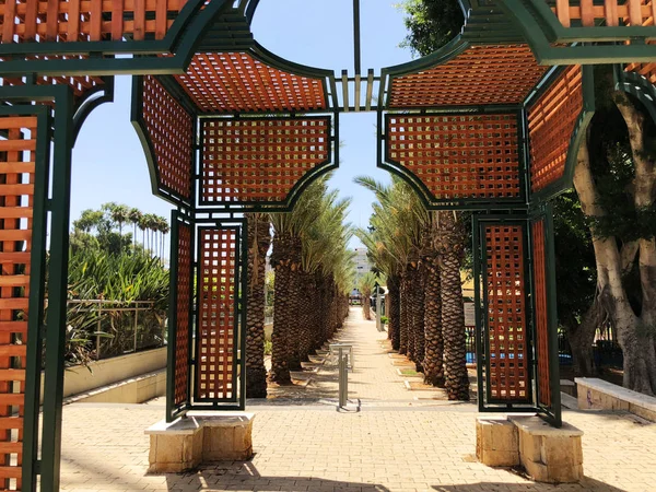 Rishon le zion, israel 04. Juli 2018: am sommerlichen Stadtpark mit Palmen in rishon le zion, israel — Stockfoto