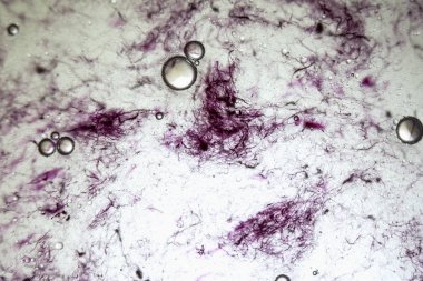 Sanatsal renkli arka plan ile baloncuklar. 