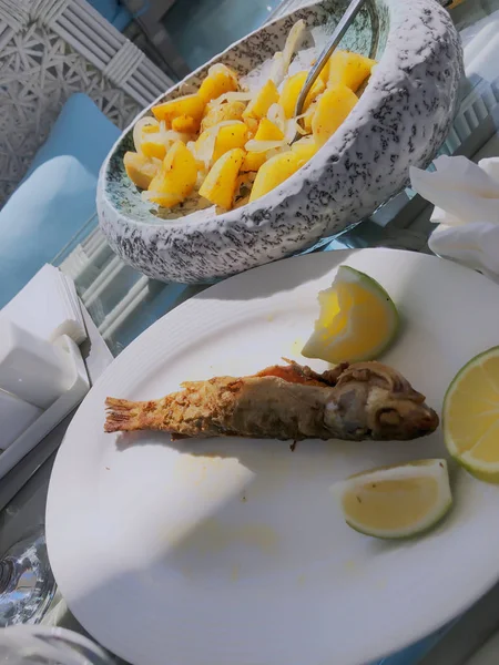 Limonlu bir tabakta kızarmış balık. Arka planda soğanlı kızarmış patates. — Stok fotoğraf