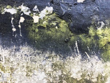 Yosun yeşili grunge dokusu. Yosun arka planı. Grunge dokusunda yeşil yosun, arka planda. Yeşil yosun detayı.