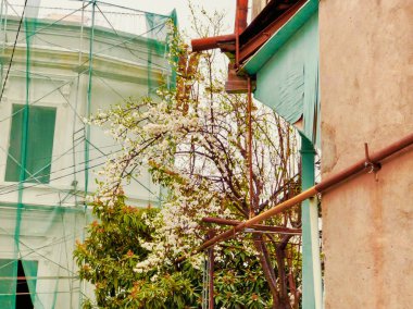 Tiflis şehrineski ilçe, Georgia.Eski Tiflis restore alanı. Gürcistan'da Turizm, turistik alan