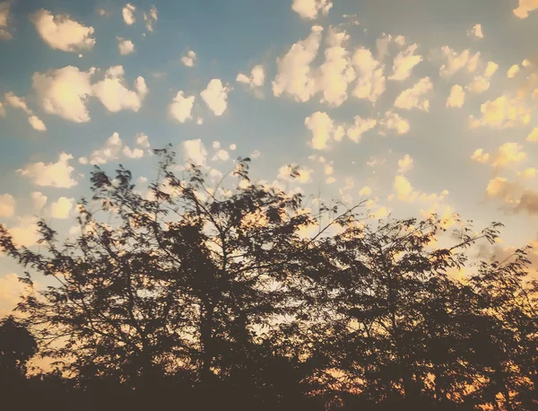 Tramonto cielo nuvoloso con pittoresche nuvole illuminate dalla calda luce del sole del tramonto. Strada di campagna al tramonto — Foto Stock