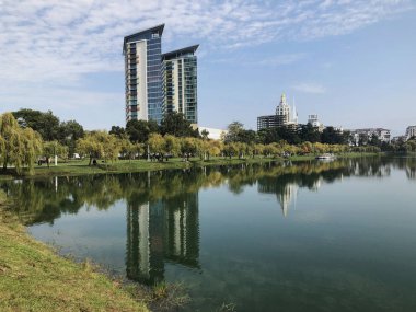 Şehir parkında gölü olan güzel bir manzara. Şehirde sonbahar günü