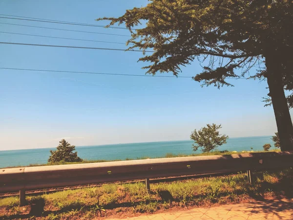 Cielo sin nubes, horizonte, mar, camino, árbol cerca del camino — Foto de Stock