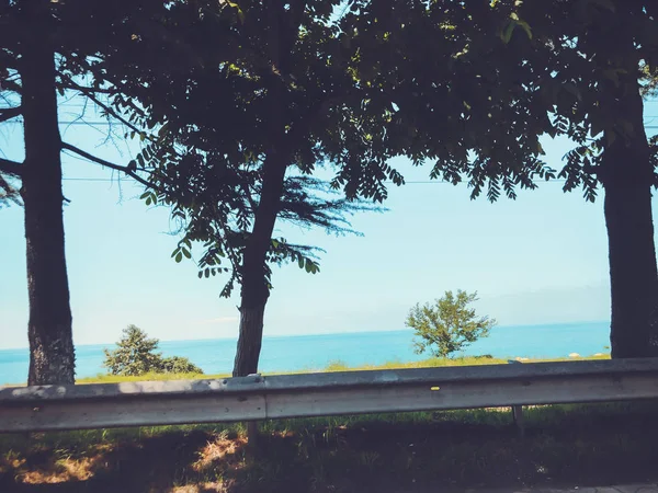 Cloudless sky, horizon, sea, road, tree near the road