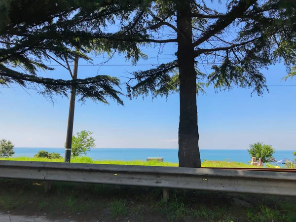 Cielo sin nubes, horizonte, mar, camino, árbol cerca del camino — Foto de Stock