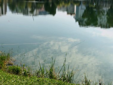 Şehir parkında gölü olan güzel bir manzara. Şehirde sonbahar günü