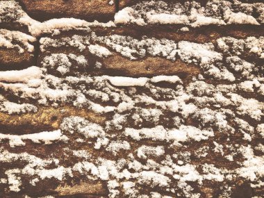 Taze kar doku arka plan. Kar dokulu arka plan. Taze kar arka plan kopya alanı ile