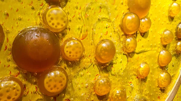 Saccharomyces cerevisiae maya. Mikroskobik mantar, fırıncı ya da bira mayası, normal barsak florasını onarmak için probiyotik olarak kullanılır..