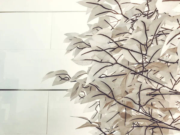 Białe rośliny w przedsionku budynku — Zdjęcie stockowe