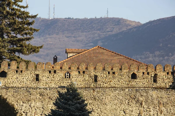 Abeto árboles cerca de la antigua muralla fortaleza de piedra —  Fotos de Stock