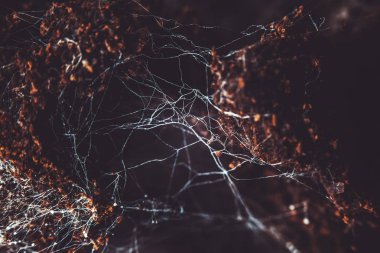 Arka plan için eski kahve zemininde mantar..