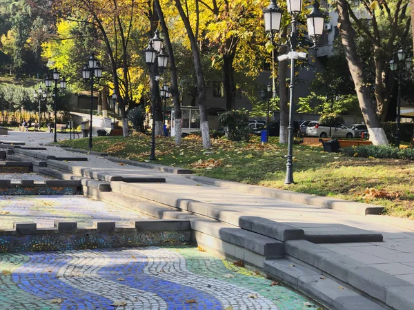 Hojas secas sobre un árbol en el fondo del parque, otoño en la ciudad —  Fotos de Stock