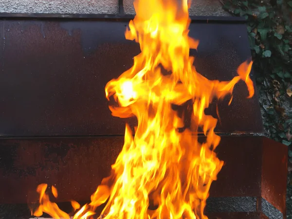 Feu de joie, chaud dans la cheminée, bois de chauffage, feu, flamme de feu — Photo