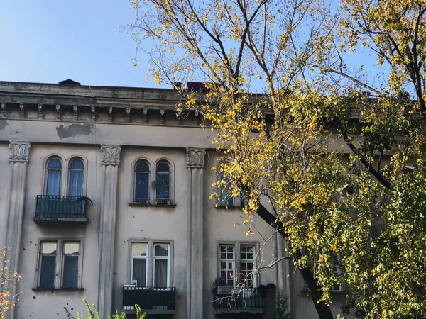 Otoño en la ciudad, árboles con hojas amarillentas. Paisaje otoñal — Foto de Stock