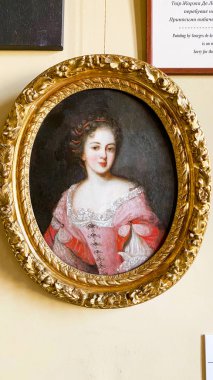 Lviv, Ukrayna - 7 Aralık 2019: Potocki Sarayı 'nın duvarlarında kocaman güzel bir tablo. Yakın plan..