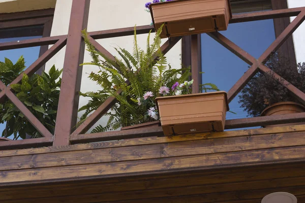 Beautiful view of the balcony with flowers of the old Tbilisi — Stockfoto