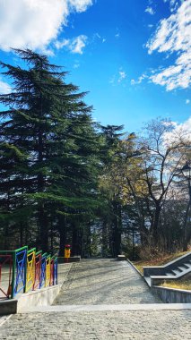 Mtatsminda Parkı 'ndaki çam ağaçları ya da Mtatsminda Dağı' ndaki Bombora Parkı. 