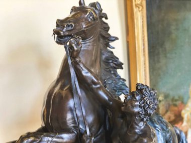 Lviv, Ukrayna - 7 Aralık 2019: Potocki Müzesinde at evcilleştirme sergisi.