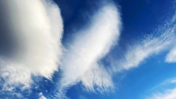 Blauwe lucht achtergrond met witte dramatische kleurrijke wolken en zonlicht, uitgestrekte hemel achtergrond. Schilderachtig hemellandschap, bewolkte blauwe lucht — Stockfoto