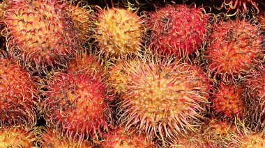 Rambutan tropikal meyvesi. Rambutan tatlı ve sulu meyvedir. Güneydoğu Asya 'nın en büyük üreticisi Tayland' dır.