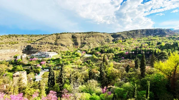 Вид Национального ботанического сада Грузии с крепости Нарикала, Тбилиси — стоковое фото