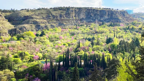 Pohled na národní botanickou zahradu Gruzie z pevnosti Narikala, Tbilisi — Stock fotografie