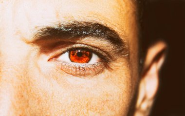 Güzel, anlayışlı bir bakış. Yakın çekim..