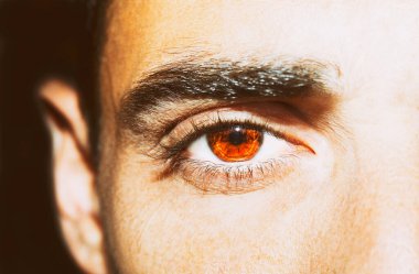 Güzel, anlayışlı bir bakış. Yakın çekim..