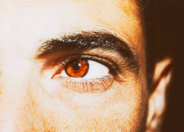 Güzel, anlayışlı bir bakış. Yakın çekim..