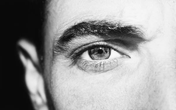 A beautiful insightful look eye. Close up shot. — Stock Photo, Image