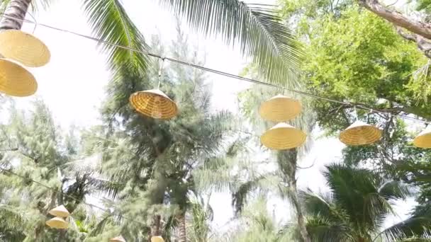 Lampen met abages van Vietnamese petten — Stockvideo