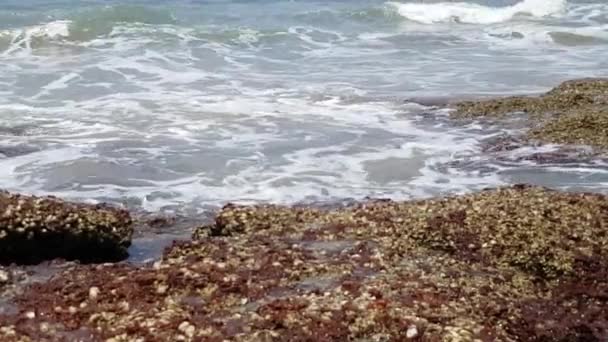 Κύματα σπάνε σε έναν τεράστιο βράχο στην ακτή. Κλείσε. — Αρχείο Βίντεο