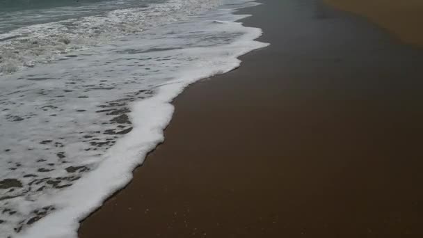 La mousse de mer lave le sable. Gros plan . — Video