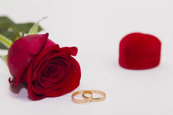 Egyedülálló Vörös Rózsa Fehér Háttérrel Arany Eljegyzési Gyűrűk Bársony Doboz — Stock Fotó
