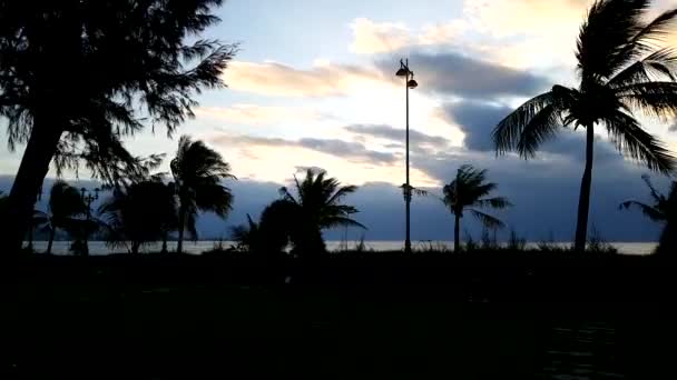 Timelapse del amanecer en el mar. Siluetas de hojas de palma — Vídeo de stock