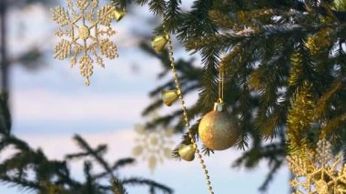 Bir soğuk kış akşamında batan güneşin ışınları altın Noel süslemeleri ile süslenen yeşil Noel ağacı,.