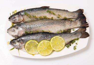 Balık kırmızı, buz, somon, alabalık, dilimleri, biftek üzerinde taze